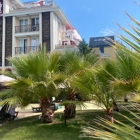 Messembria B504 Sunny *